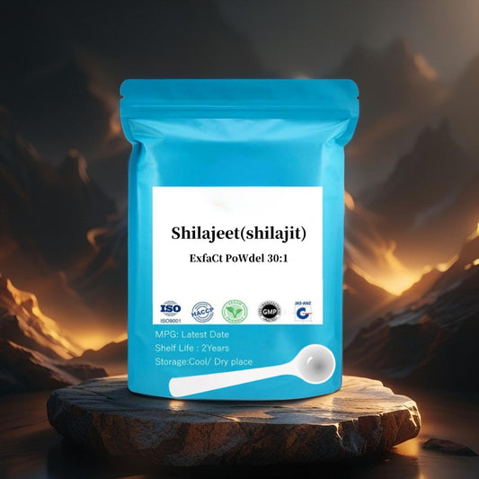 Therapium™ Shilajit – Premium Natural Energy & Vitality Supplement for Men